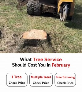 👀Look, tree service isn’t cheap… and it shouldn’t be. Quality work takes skill, the right equipment, and experienced crews. But there’s a difference between fair pricing and flat-out rip-off. I’m Chris, and I run Jcm Tree Service the way it should be run. No massive overhead. No fancy office building. No 20 offices. Just me, my crew, and equipment that gets the job done right. Those big companies charging double? Someone’s gotta pay for all that flash… And it’s always you! Here’s what you get w