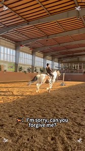 Funny horse #horse #horses #horsesoftiktok #funny #funnytiktok #fpy #fpyシ | Santafe Farrier Fan
