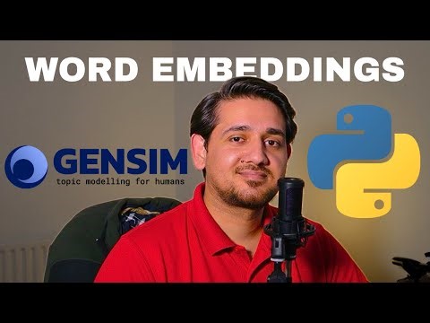 What are Word Embeddings
