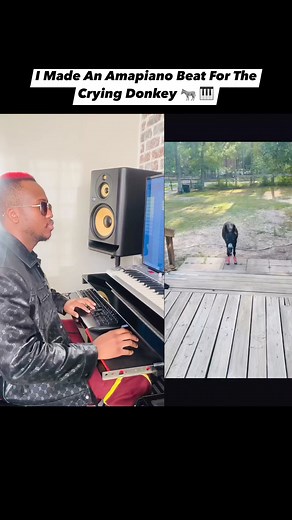 I Made An Amapiano Beat For The Crying Donkey 🫏 🎹 #KillorBeeZBeatZ | KIllor Beezbeatz