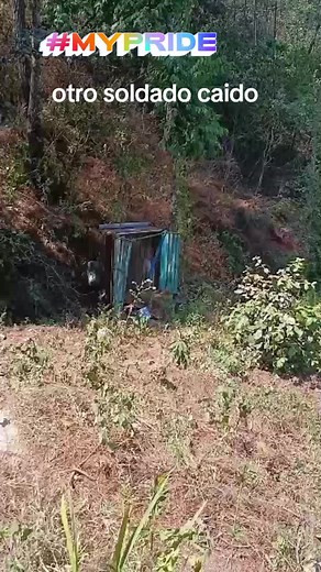 Darwin Manuel on TikTok