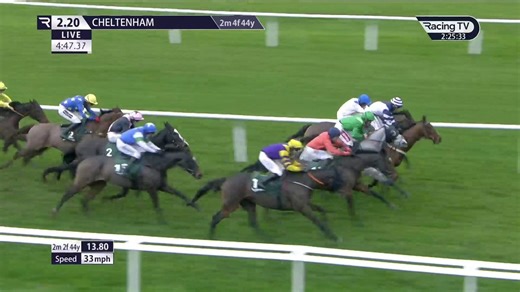 🟠 Panic Attack is 18/1 for the Grand National! 👀Does she have a good chance? 🤔