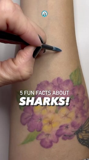 Watch this Tiny Tutorial to learn how to paint a Tiny Shark! 🦈🖌️🎨 MY TOOLS: ▫️ FACE PAINT: WolfeFX: black, white, metallic blue & light blue▫️ BRUSHES: Body Color Cosmetics Stiletto Round Brushes #2, #4 & #6 🤓 Save this Doodle & Follow me for more Tiny Tutorials!#carolinathedoodler #tinytutorials #shark #armpainting #facepainting #facepaint #facepainter #sharkfacts #sharkart #funfacts #cheekart #sealife #marinelife #oceananimals #sharks #sharkscience #lefthanded #satisfying #soothingart #art