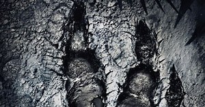 Evolve : meilleur prix, test et actualités