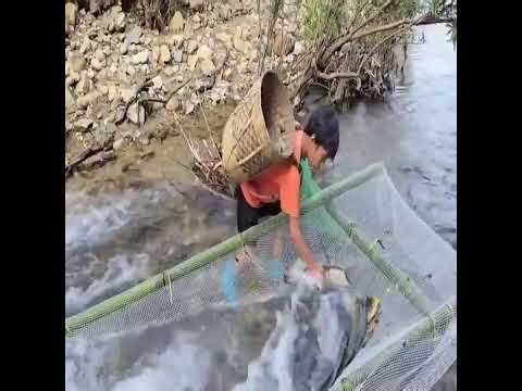 Boy's Genius Fish Trap Skills Stream Survival Fishing Like a Pro! || Survival Video || 2026