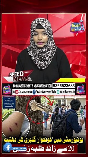 “Bloodthirsty Squirrel Attacks University 😱 | 20+ Students Injured! What Made It So Angry?”