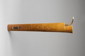 Evolution of the Bassoon