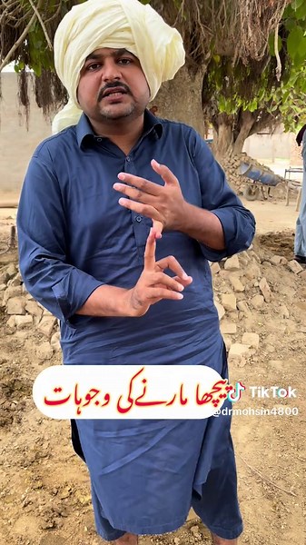 Understanding Prolapse Management in Medicine