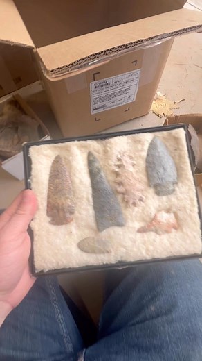 63K views · 934 reactions | Finding restoration on arrowheads that are 1000's of years old! #arrowheads #auctionbusiness (These were restored for the finder of the arrowheads) #historylovers | AAArtifacts - PA Artifacts and Arrowheads | Facebook