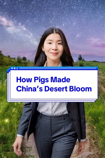 How Pigs Transformed China's Desert Landscape