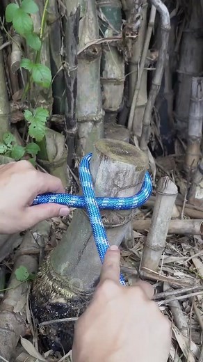 Craft tips and tricks #diy #Craft #crafts #diycraft #crafting #easydiy #handmade | Random Crafts