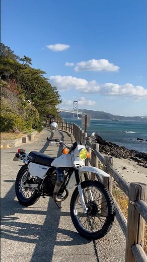 トレールバイク ts185er ハスラー ツースト 2017年式 SUZUKI TS185ER #ts185er #ハスラー