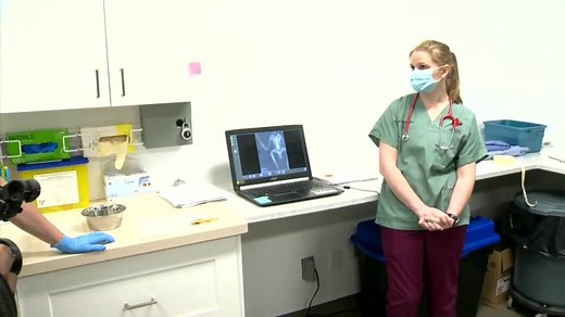 Manitoba’s first vet hospital for wildlife opens