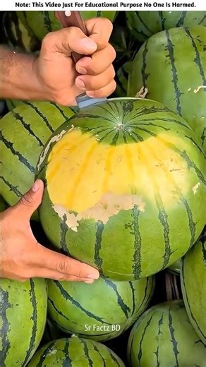 Yellow colored watermelon came out from inside 🍉😱