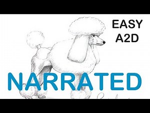 How to Draw a Poodle dog (NARRATED) Step by Step