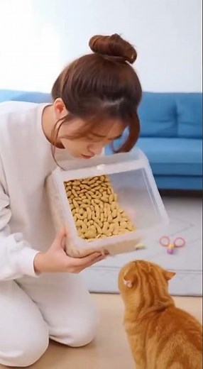 😹Tail Stepped On! Crowned Orange Cat Goes Full Diva💥