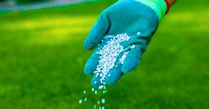 Homebase shares top 10 garden tasks for October