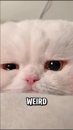 How the Moon Controls Animal Behavior 🌕🦉