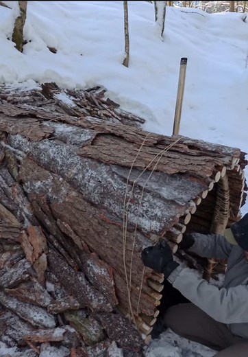 Fiz um abrigo secreto na neve em formato de tronco 🪵 ❄️ #neve #bushcraft #build #outdoor #sobrevivencia