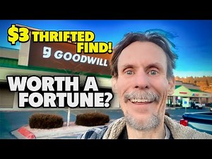 Proof You Can STILL Find Incredible Vintage at Thrift Stores! 💫