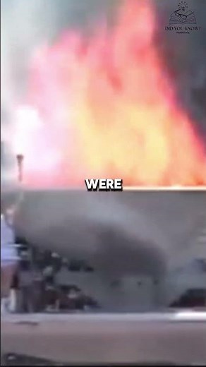 The doves were accidentally burned by the Olympic flame in Seoul! #shorts #olympics #facts