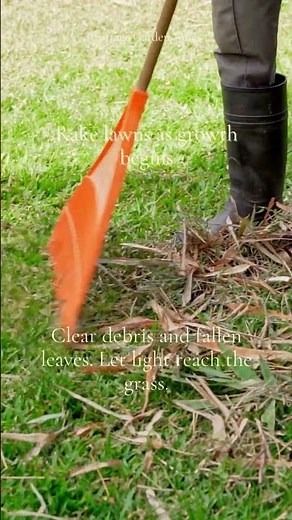 Start your spring lawn care...