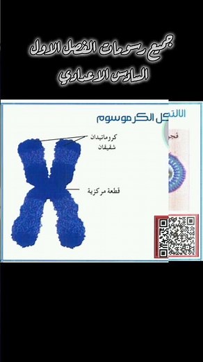 ملخص رسومات الفصل الأول أحياء سادس علمي| كل الرسومات المهمة في فيديو واحد،،[للأستاذ ماهر نايف]