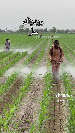 Modern Village Farming Techniques | Smart Farming