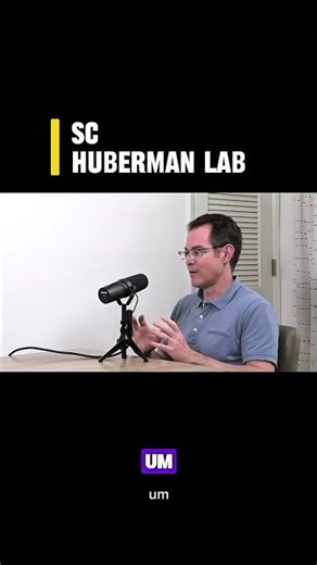 Stanford Research: Microbiome, Microbes, and the Effects of Antibiotics