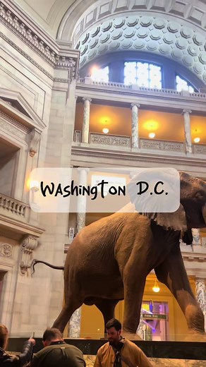 ワシントンD.C.２泊３日旅行🇺🇸 食べたもの 行ったところ まとめ🥐 無料で入れるところが沢山で楽しかった（＾_＾） #washingtondc #ワシントンdc #アメリカ旅行