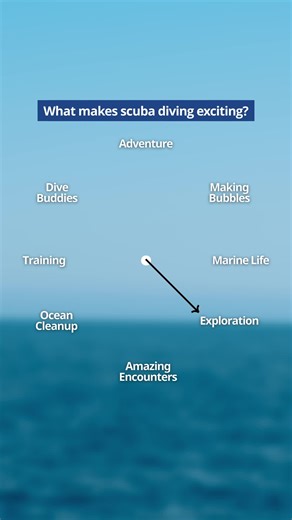 The Thrill of Diving: Discover What Makes It Exciting