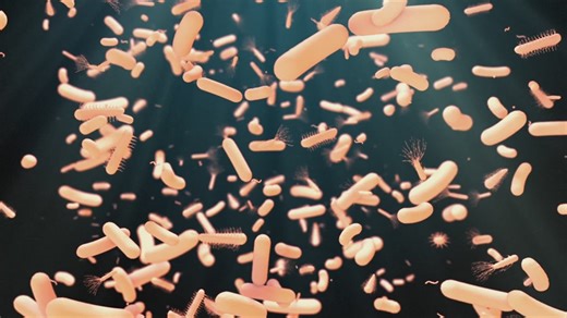 Health experts warning public over new 'superbug'