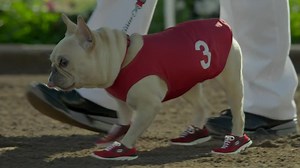 Culturepub : le meilleur de la publicité mondiale