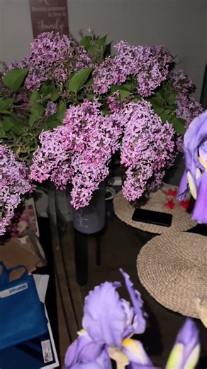 lilacs !! also known as syringa vulgaris. beautiful lovely plant. #lilac #lilacs #flower #flowers #fyp #viral #baddie #summer #spring #loveyou