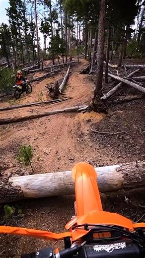 RMTC | Giant playground. . . . . . . . . . . #singletrack #enduro #dirtbike #trails #mountains #woods #nationalforest #nationalforestriders #ktm... | Instagram