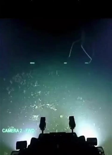 BURRO (@burro_no_sabo)’s videos with original sound - BURRO