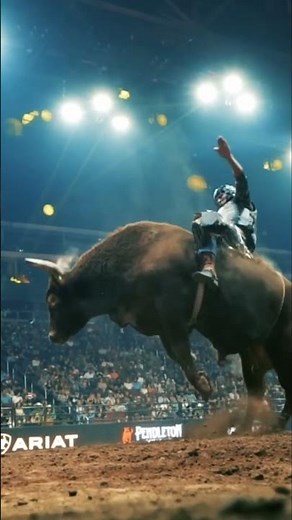 The NFR Is More Exciting Than Ever