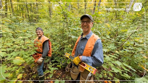 𝐎𝐅𝐅𝐑𝐄 𝐃'𝐄𝐌𝐏𝐋𝐎𝐈 | 𝐂𝐎𝐍𝐓𝐑𝐎̂𝐋𝐄𝐔𝐑(𝐄𝐔𝐒𝐄) 𝐅𝐈𝐍𝐀𝐍𝐂𝐈𝐄𝐑(𝐄̀𝐑𝐄) | 𝐒𝐓-𝐆𝐀𝐁𝐑𝐈𝐄𝐋-𝐃𝐄-𝐑𝐈𝐌𝐎𝐔𝐒𝐊𝐈 Tu es passionné(e) de chiffres et tu rêves d’un rôle stratégique où tes analyses auront un impact concret sur le développement d’une organisation locale bien ancrée dans son milieu? 💼🌲 Les 𝐆𝐫𝐨𝐮𝐩𝐞𝐦𝐞𝐧𝐭𝐬 𝐟𝐨𝐫𝐞𝐬𝐭𝐢𝐞𝐫𝐬 𝐝𝐞 𝐓𝐞́𝐦𝐢𝐬𝐜𝐨𝐮𝐚𝐭𝐚 𝐞𝐭 𝐝𝐞 𝐌𝐞́𝐭𝐢𝐬-𝐍𝐞𝐢𝐠𝐞𝐭𝐭𝐞, qui uniront officiellement leurs forces en mars 2026 💪, cherch