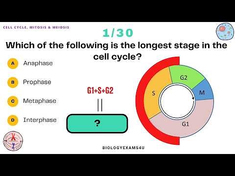 Cell Divison, Mitosis and Meiosis Quiz Questions || 30 Multiple Choice with Answers and Explanation