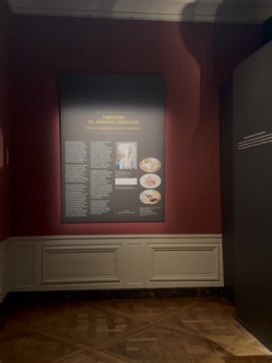 Société des Amis de Versailles | ✨Installation de la tabatière en porcelaine de Sèvres de Madame Adélaïde✨ La tabatière en porcelaine tendre de Sèvres à fond beau bleu,... | Instagram