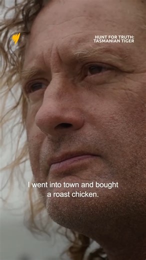 "It was standing right here." Tasmania’s most infamous thylacine hunter, known only as 'Tigerman', recounts seeing two Tasmanian tigers. Hunt for Truth: Tasmanian Tiger | Stream now on SBS On Demand | SBS Australia