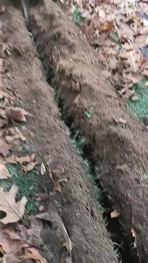 Our most important asset is our customers - Thank you! #GeoRipperNation #georipper #minitrencher #whoisgeoripper #behindthebuild #truegeoripper #georipperstrong | GeoRipper | Facebook