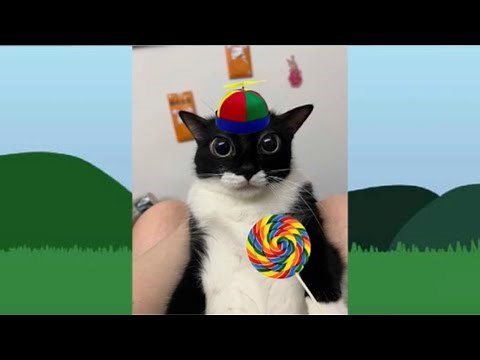 Lollipop Cat - Normal Sounds & Animations (Sprunki Retake)