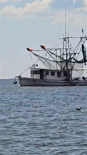 Before I start my shit posting today .... I have to thank God for blessing us with a trouble free trip last night we even dropped the hook an just crashed out in the lake .... Waking up on the water like that is what I been missing. It was a long hard road to shake the bugs off this old girl but she's proving that she has a lot of life left in her | Scuba Steven