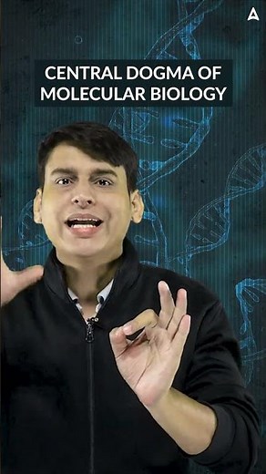 How DNA Makes RNA & Proteins | Central Dogma CBSE Class 12 | Double Helix Structure of DNA Explained