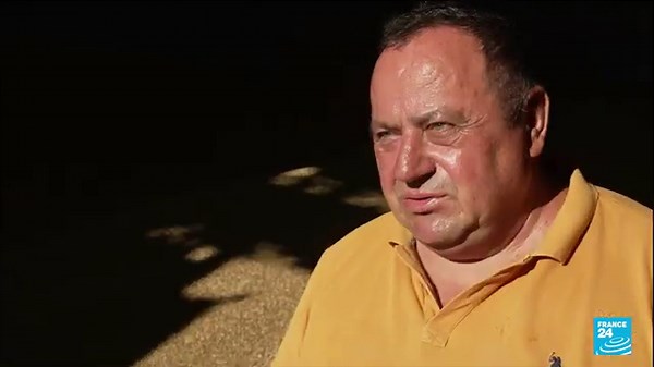 Ukraine : les agriculteurs doivent cultiver dans des champs minés