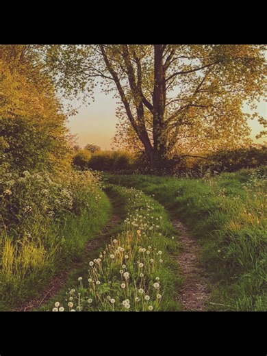 Embrace the Beauty of Spring
