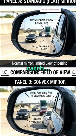 The Reality of Side Mirrors😳
