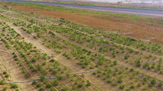 山河新貌：多地实践探索绿色发展_正北方网