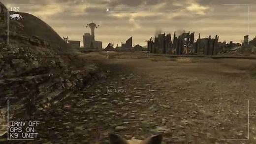 Call of Doge Fallout